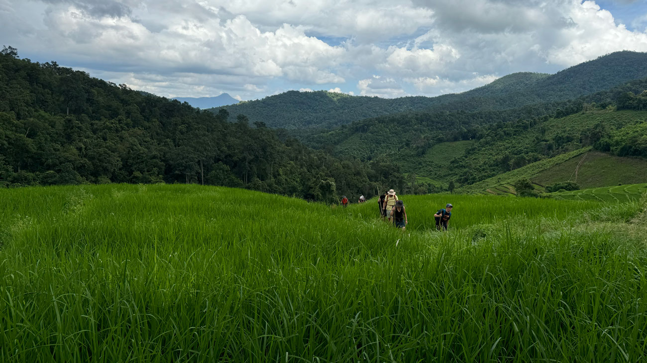 Chiangmai Jungle Trek 03